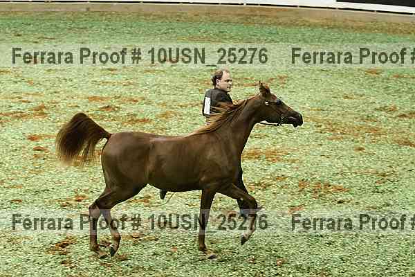 Proof Number 10usn_25276