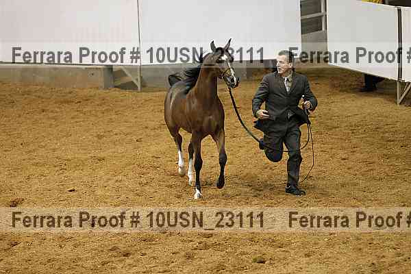 Proof Number 10usn_23111