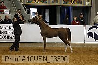 10usn_23390 thumbnail