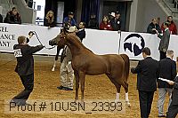 10usn_23393 thumbnail