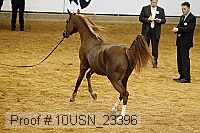 10usn_23396 thumbnail
