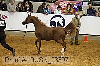 10usn_23397 thumbnail