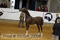 10usn_23398 thumbnail