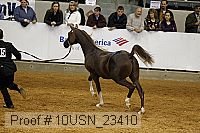 10usn_23410 thumbnail