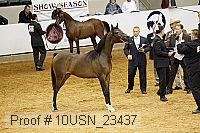 10usn_23437 thumbnail