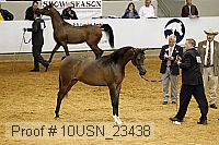 10usn_23438 thumbnail