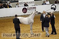 10usn_23447 thumbnail