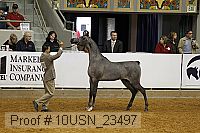 10usn_23497 thumbnail