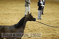 10usn_23532 thumbnail