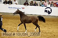 10usn_23558 thumbnail