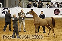 10usn_23563 thumbnail