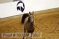 10usn_23567 thumbnail