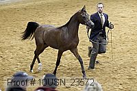 10usn_23572 thumbnail