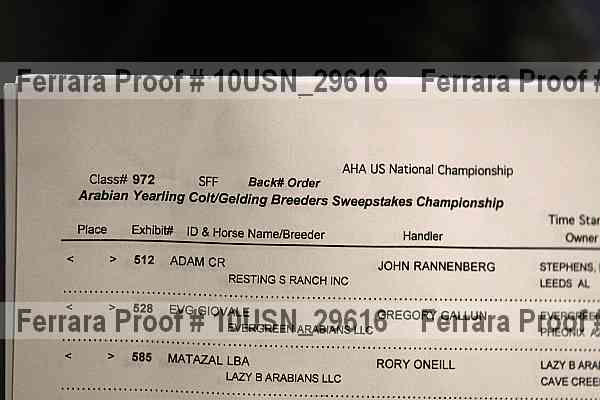 Proof Number 10usn_29616