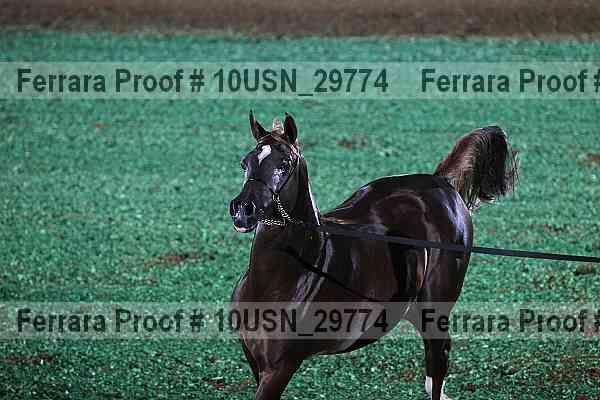 Proof Number 10usn_29774
