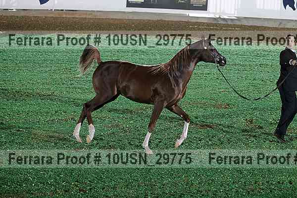 Proof Number 10usn_29775