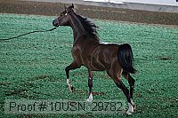 10usn_29782 thumbnail