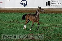 10usn_29788 thumbnail