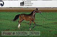 10usn_29789 thumbnail