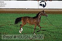 10usn_29790 thumbnail