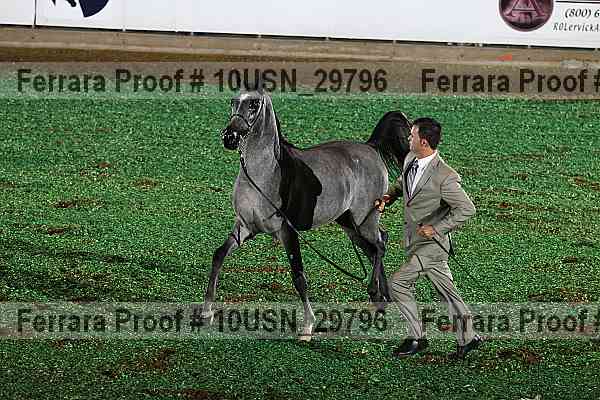 Proof Number 10usn_29796