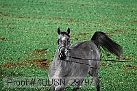 10usn_29797 thumbnail