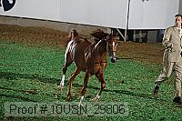 10usn_29806 thumbnail
