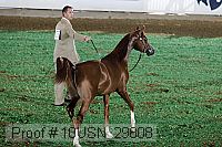 10usn_29808 thumbnail
