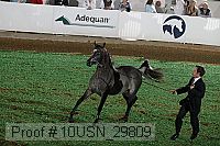 10usn_29809 thumbnail