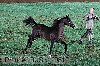 10usn_29812 thumbnail