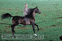 10usn_29813 thumbnail