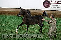 10usn_29814 thumbnail