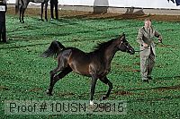 10usn_29815 thumbnail