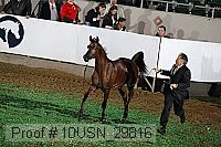 10usn_29816 thumbnail