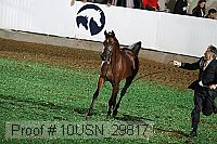 10usn_29817 thumbnail
