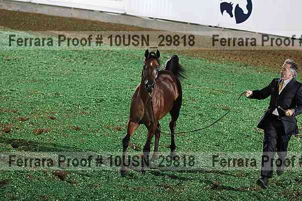 Proof Number 10usn_29818