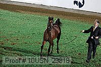 10usn_29818 thumbnail
