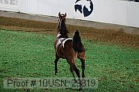 10usn_29819 thumbnail