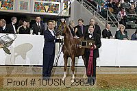 10usn_29820 thumbnail