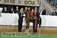 10usn_29825 thumbnail