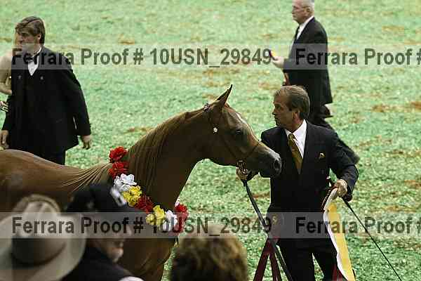 Proof Number 10usn_29849