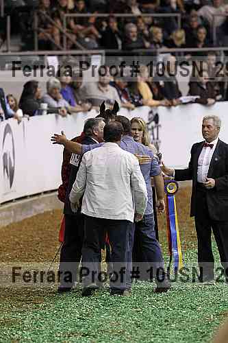 Proof Number 10usn_29877
