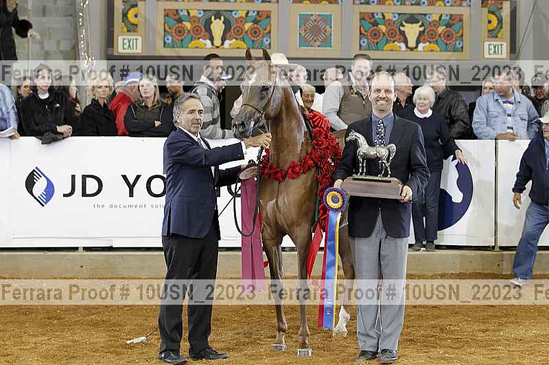 Proof Number 10usn_22023