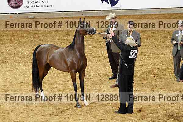 Proof Number 10usn_12889