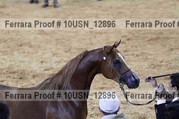 Proof Number 10usn_12896