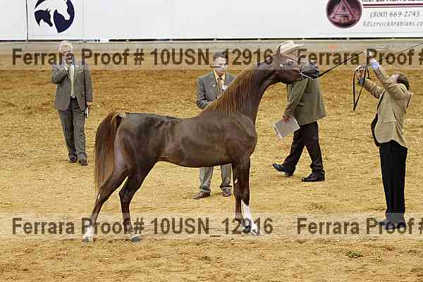 Proof Number 10usn_12916