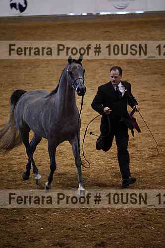 Proof Number 10usn_12958