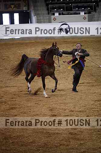 Proof Number 10usn_12961
