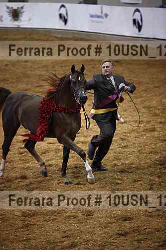 Proof Number 10usn_12963
