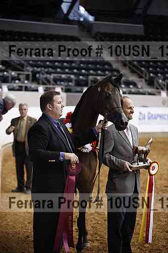 Proof Number 10usn_13169